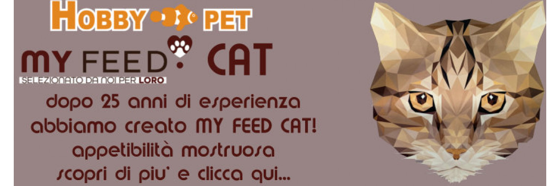 myfeedcat